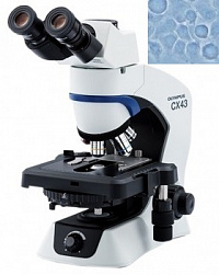 Evident CX43 фазовый